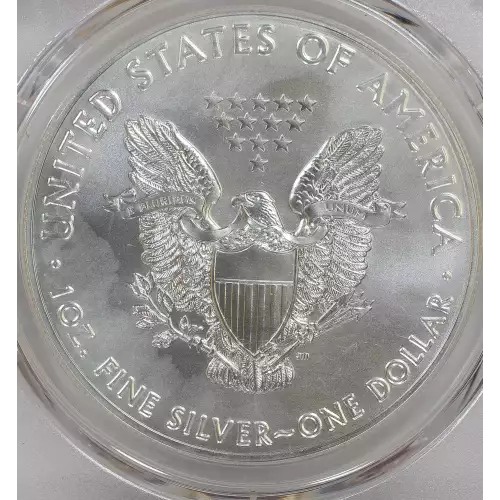 Silver Eagles (3)