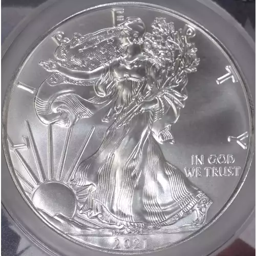 Silver Eagles