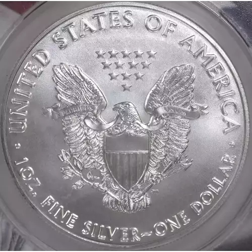 Silver Eagles