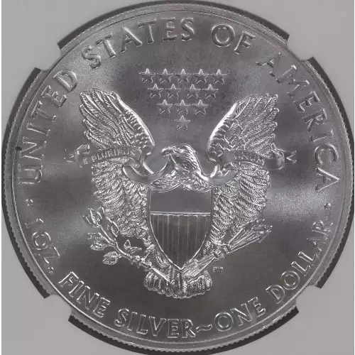 Silver Eagles