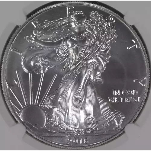 Silver Eagles