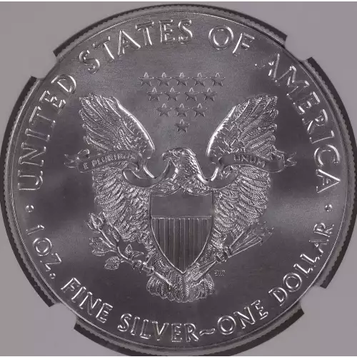 Silver Eagles