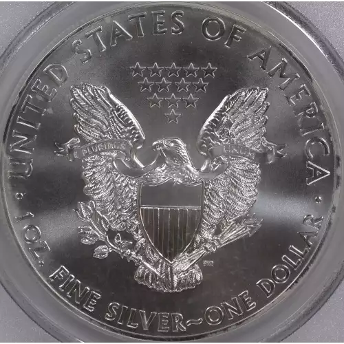 Silver Eagles