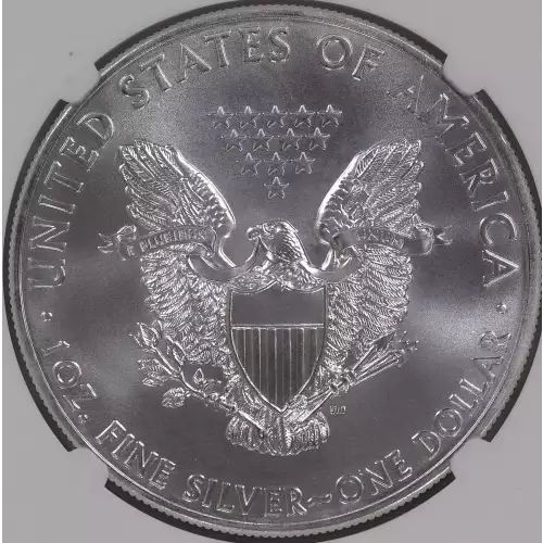 Silver Eagles