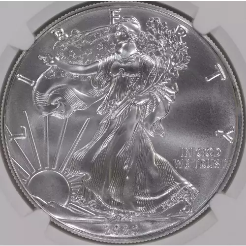 Silver Eagles