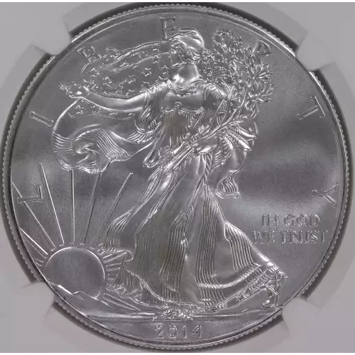 Silver Eagles