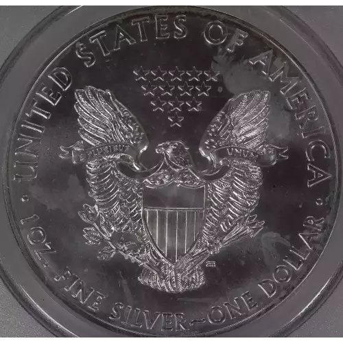 Silver Eagles