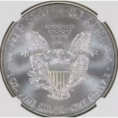 Silver Eagles