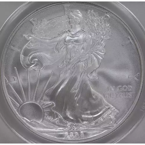 Silver Eagles (2)