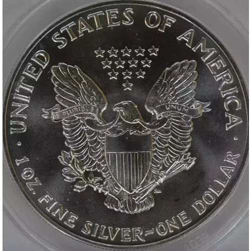 Silver Eagles (3)