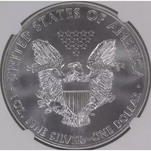 Silver Eagles