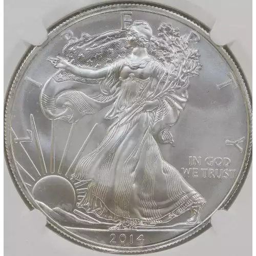 Silver Eagles (4)