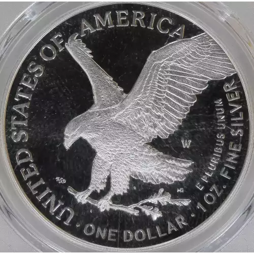 Silver Eagles (4)
