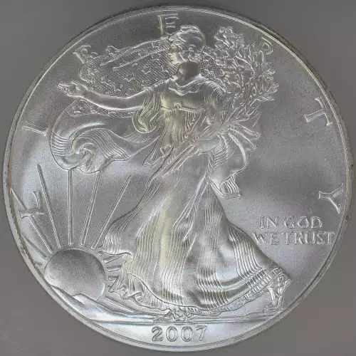 Silver Eagles (2)