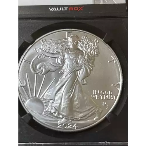 Silver Eagles (3)