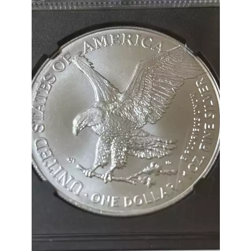 Silver Eagles (4)