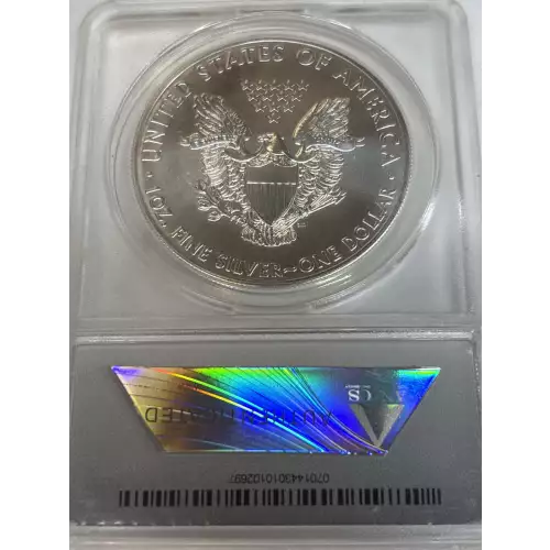 Silver Eagles (2)