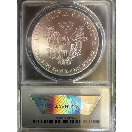 Silver Eagles (2)