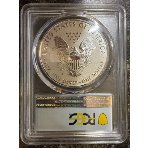 Silver Eagles (2)