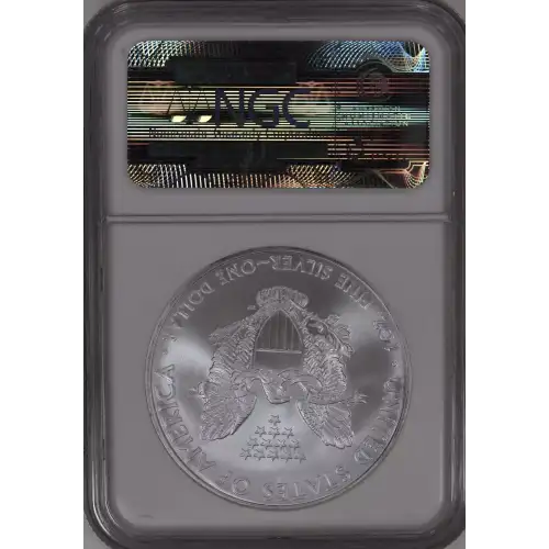 Silver Eagles