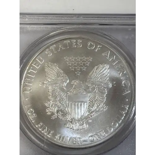 Silver Eagles (2)