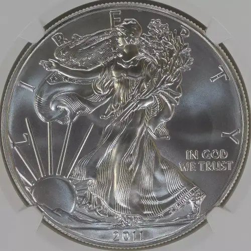 Silver Eagles (2)