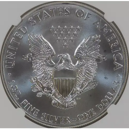 Silver Eagles (4)