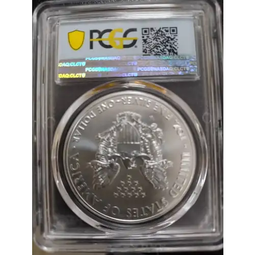 Silver Eagles