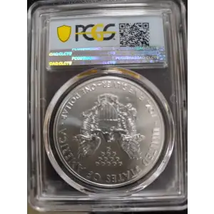 Silver Eagles