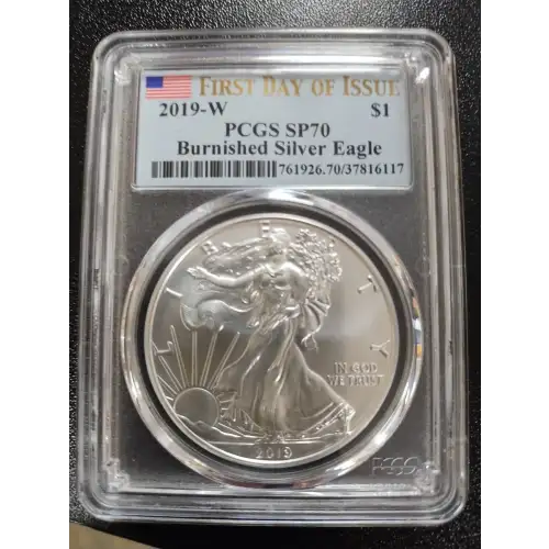 Silver Eagles (2)