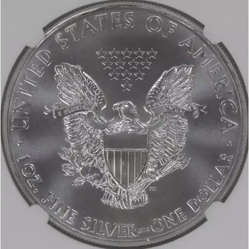 Silver Eagles