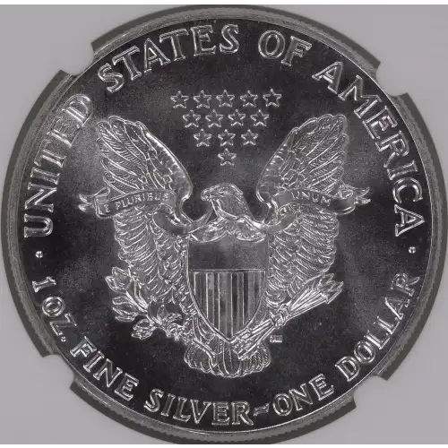 Silver Eagles