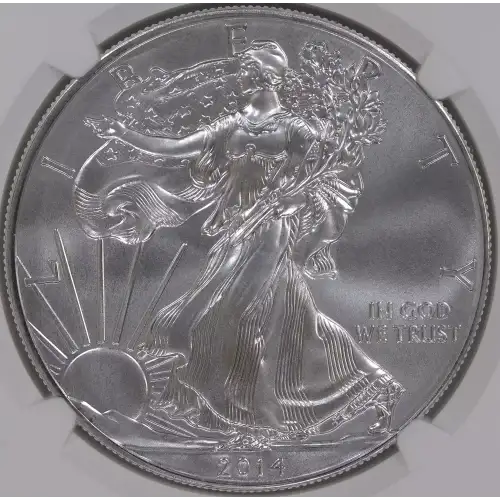 Silver Eagles