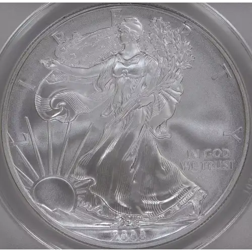 Silver Eagles (2)