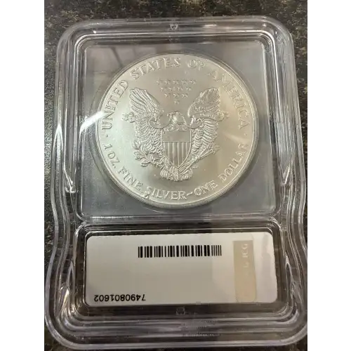 Silver Eagles (2)