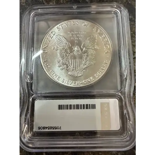Silver Eagles (2)