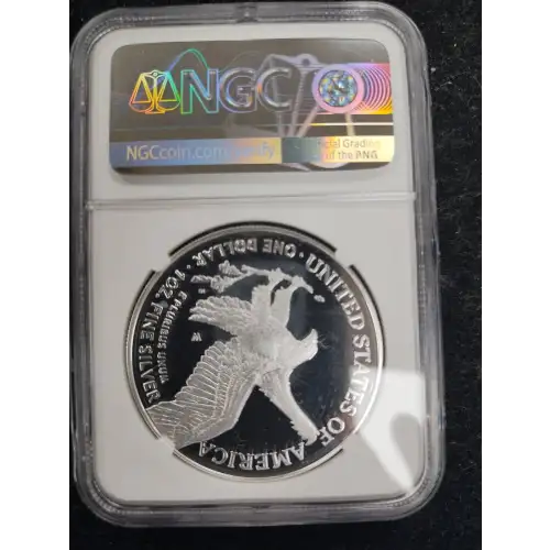 Silver Eagles (2)