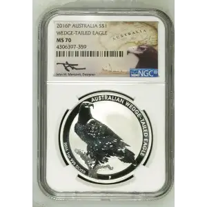 2016P Wedge-Tailed Eagle (2)