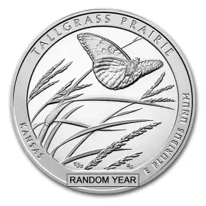 5oz America the Beautiful Silver Coin - Any Year