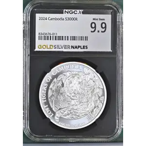 2024 Lost Tigers of Cambodia (2)